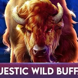 Majestic Wild Buffalo